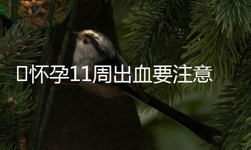 ​怀孕11周出血要注意哪些常识