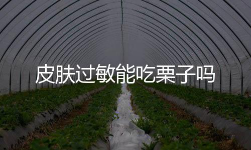 皮肤过敏能吃栗子吗