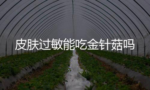 皮肤过敏能吃金针菇吗