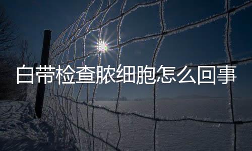 白带检查脓细胞怎么回事