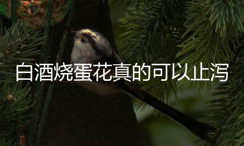 白酒烧蛋花真的可以止泻吗