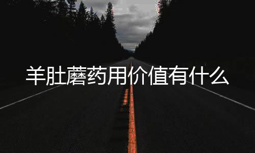 羊肚蘑药用价值有什么