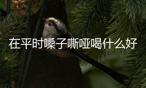 在平时嗓子嘶哑喝什么好？