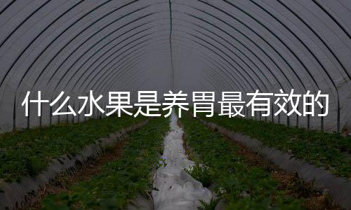 什么水果是养胃最有效的？