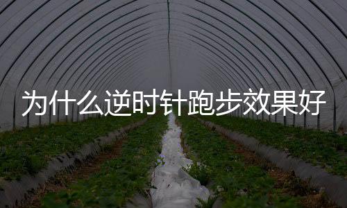 为什么逆时针跑步效果好