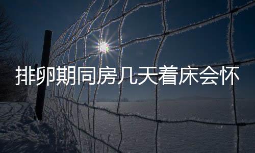 排卵期同房几天着床会怀孕