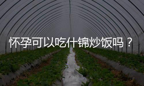 怀孕可以吃什锦炒饭吗？怀孕吃什么比较好