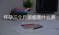 怀孕三个月尿频是什么原因