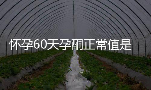 怀孕60天孕酮正常值是多少