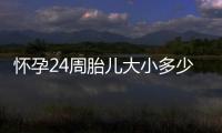 怀孕24周胎儿大小多少