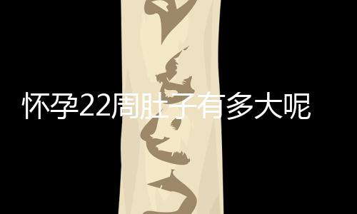 怀孕22周肚子有多大呢