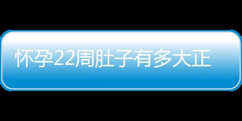 怀孕22周肚子有多大正常