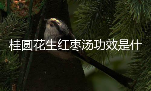 桂圆花生红枣汤功效是什么