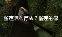 榴莲怎么存放？榴莲的保存方法