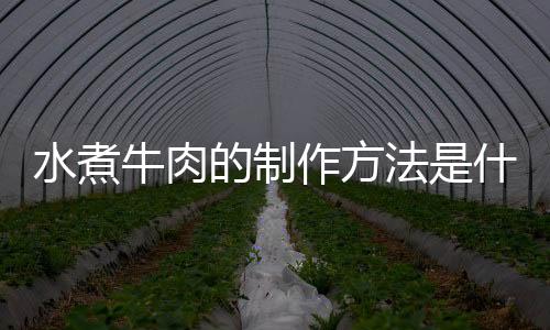 水煮牛肉的制作方法是什么？