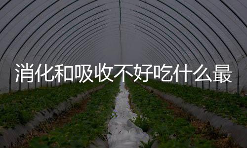 消化和吸收不好吃什么最好？