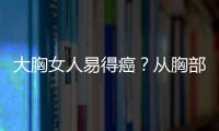 大胸女人易得癌？从胸部大小看患癌几率