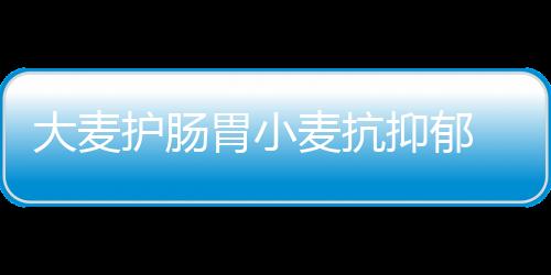 大麦护肠胃小麦抗抑郁 大小麦功效不同