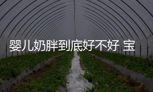 婴儿奶胖到底好不好 宝宝奶胖与肥胖的区别