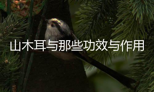 山木耳与那些功效与作用是什么