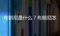 布朗尼是什么？布朗尼怎么做？