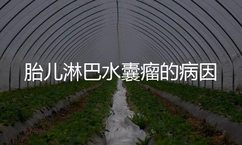 胎儿淋巴水囊瘤的病因