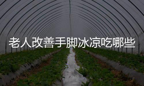 老人改善手脚冰凉吃哪些药膳